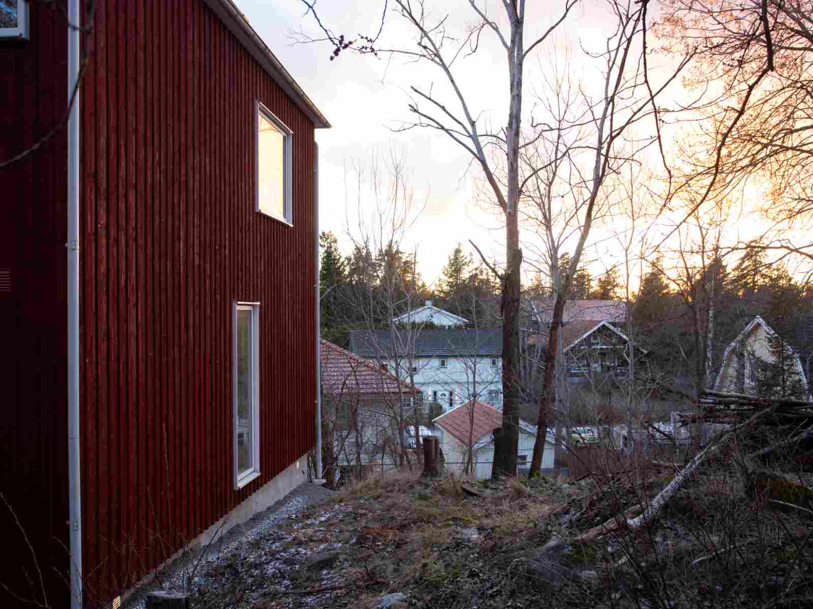skogås